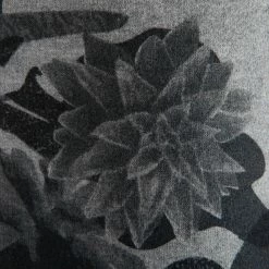 Domyos, Peg-Top Bottoms, Women's Exercise & Fitness Apparel