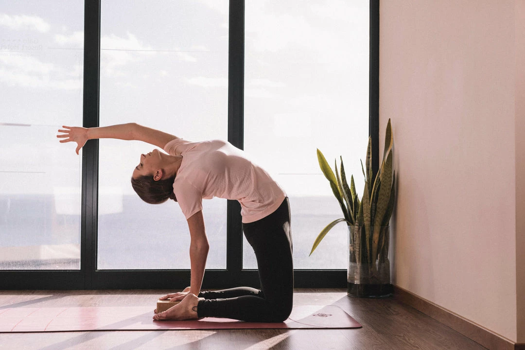 Kimjaly Domyos Dynamic Yoga Leggings