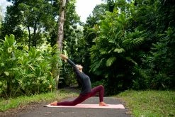 Kimjaly, Long-Sleeved Organic Cotton Yoga T-Shirt, Women's