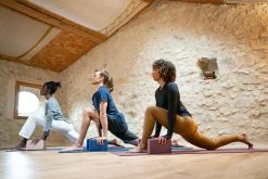 Kimjaly Domyos Cotton Yoga Pants