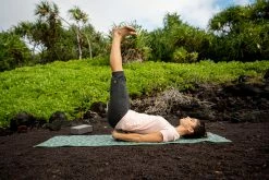 Kimjaly Domyos Cotton Cropped Yoga Pants