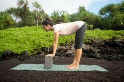 Kimjaly Domyos Cotton Cropped Yoga Pants