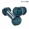 Nyamba, 1.1 To 11 Lb Coated Fitness Dumbbells, 2-Pack Weight Training Gear