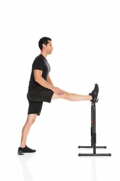 Domyos 100, Dip Bar Training Station