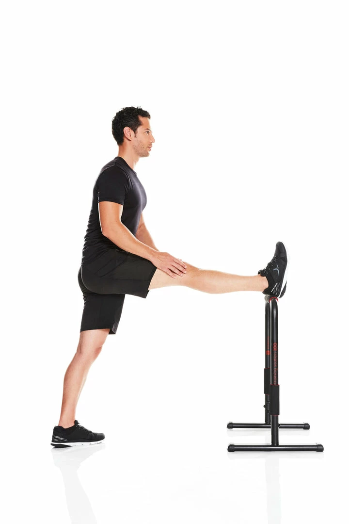 Domyos 100, Dip Bar Training Station